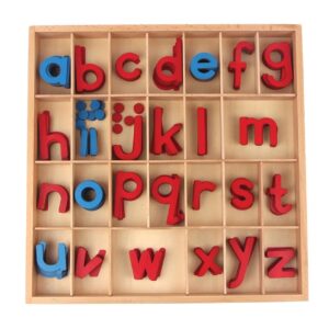 Montessori Moveable Alphabet Set